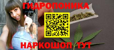 амф Гусь-Хрустальный