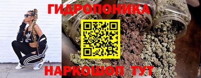 ГАЛЛЮЦИНОГЕННЫЕ ГРИБЫ Гусиноозёрск